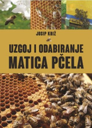 Uzgoj i odabiranje matica pčela
