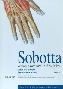 Atlas anatomije - Sobotta