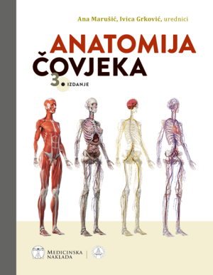 Anatomija čovjeka