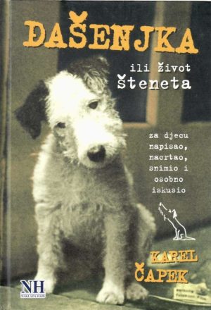 Dašenjka ili Život šteneta